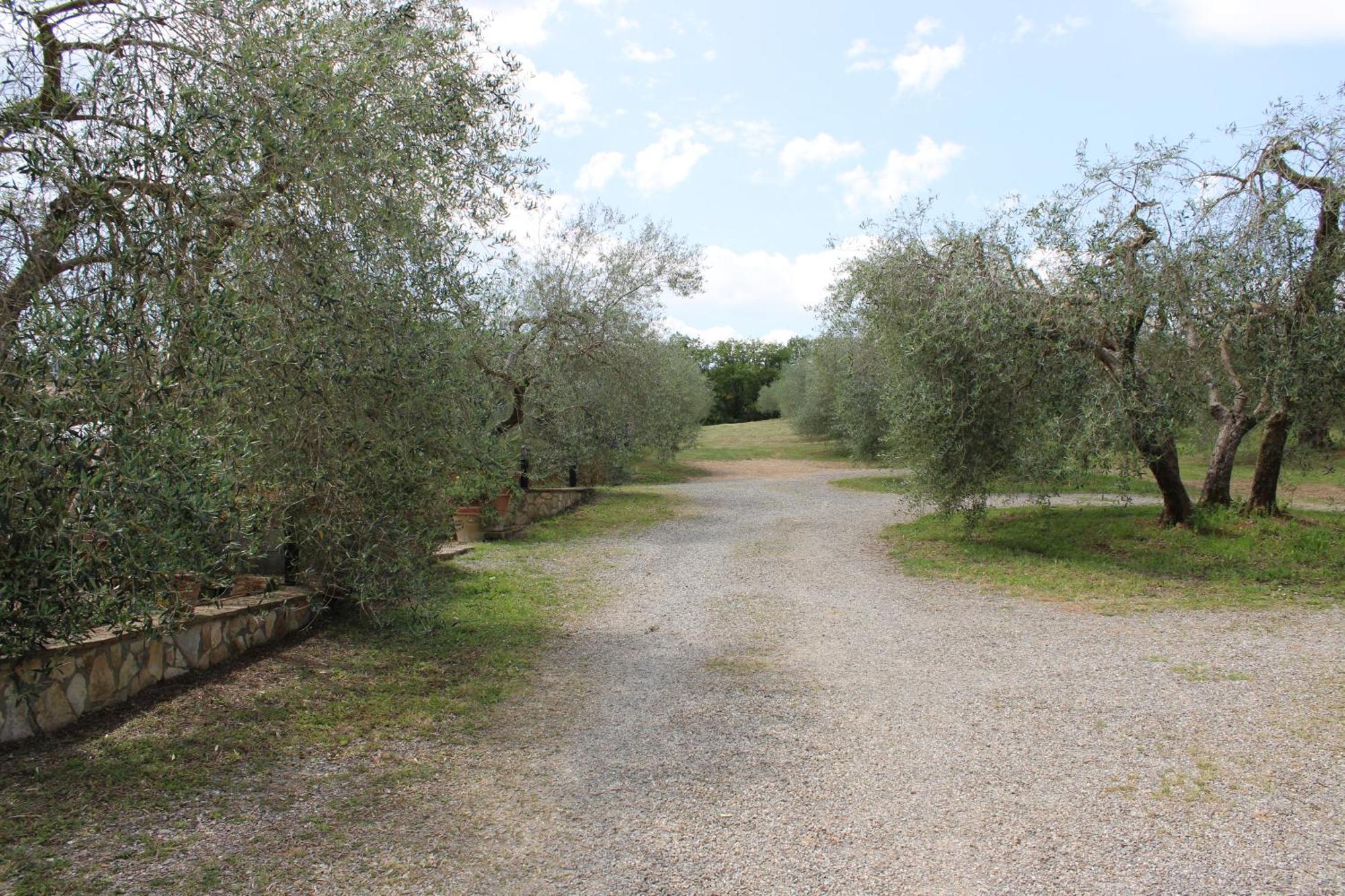 Agriturismo Cantagalli San Quirico dʼOrcia Esterno foto