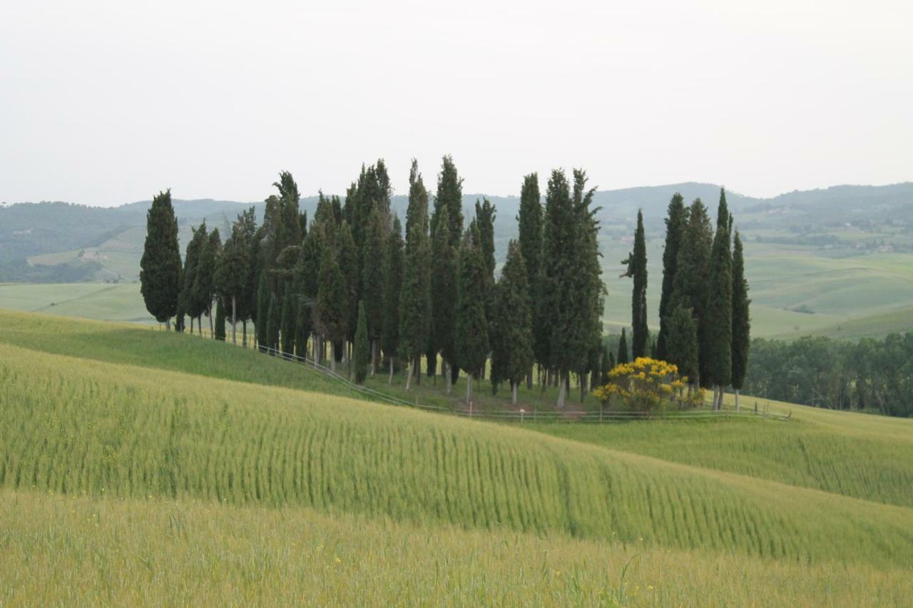 Agriturismo Cantagalli San Quirico dʼOrcia Esterno foto