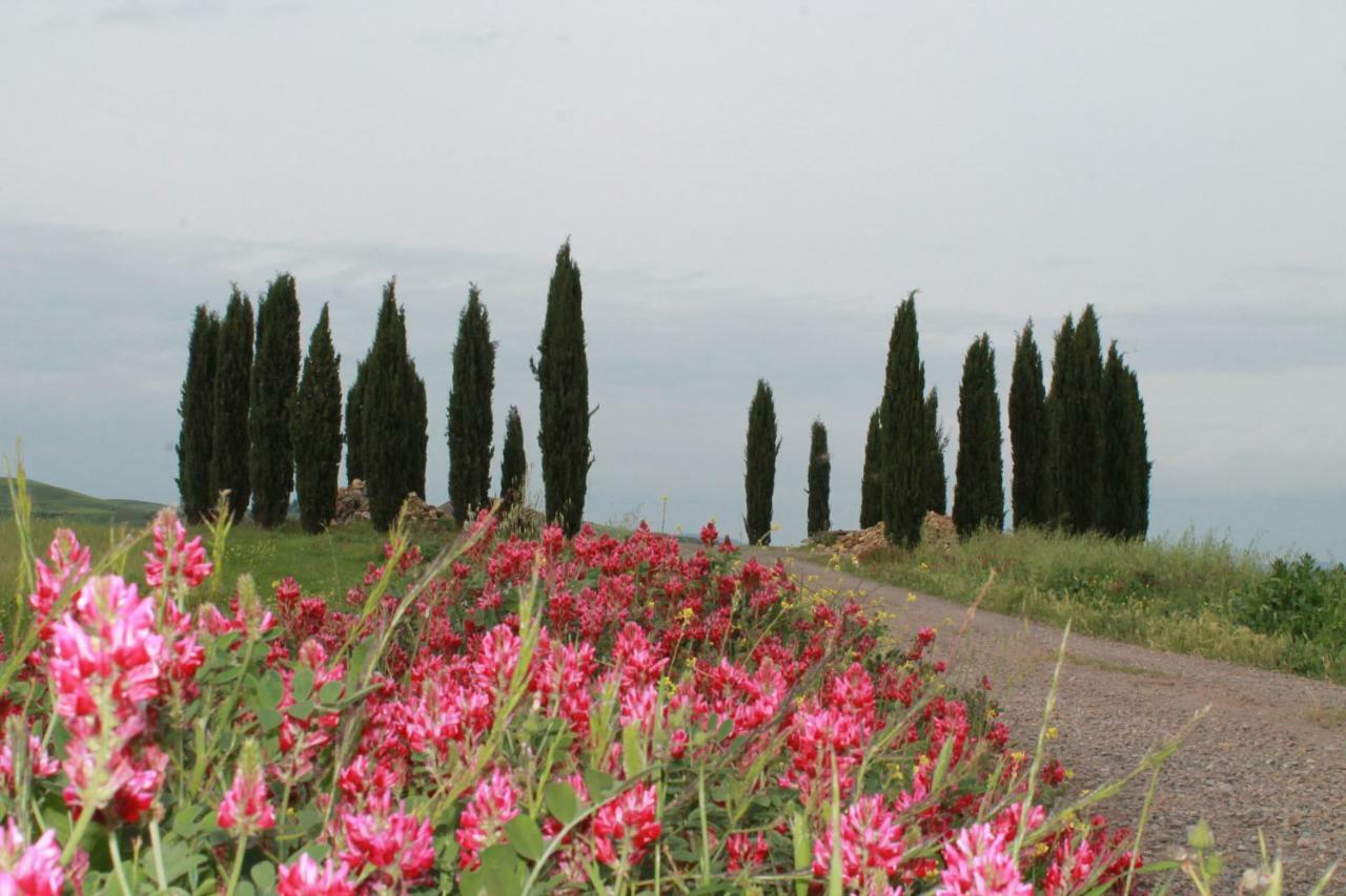 Agriturismo Cantagalli San Quirico dʼOrcia Esterno foto